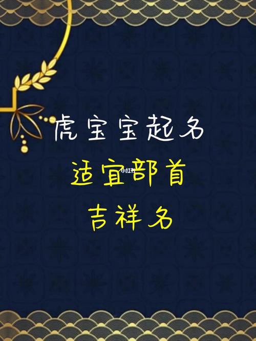 为虎宝宝起名带瑞子的建议