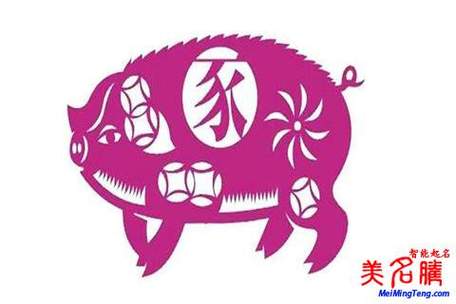 为女孩起名：考虑猪年生肖