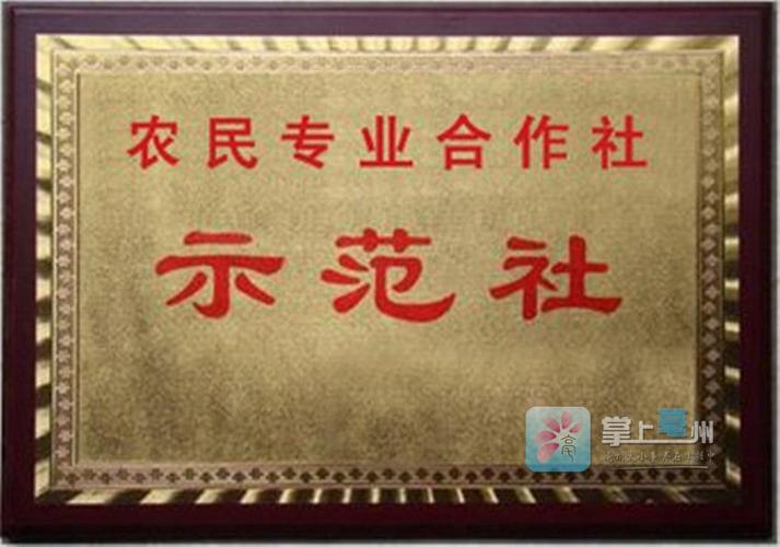 如何为专业合作社起一个合适的名字？