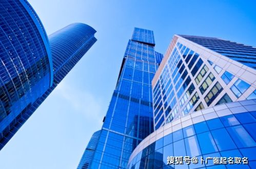 公司起名测试免费
