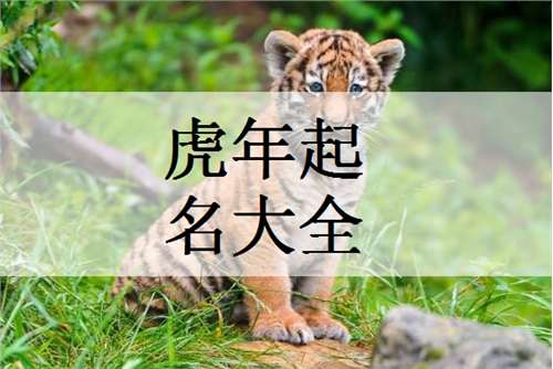 石姓牛年女孩起名带火木