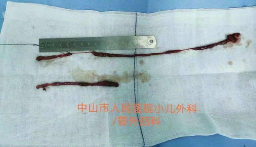 杨启晨这个名字寓意是什么