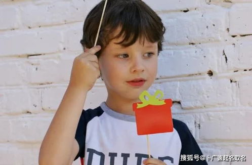 姓郭的男孩起名牛宝宝