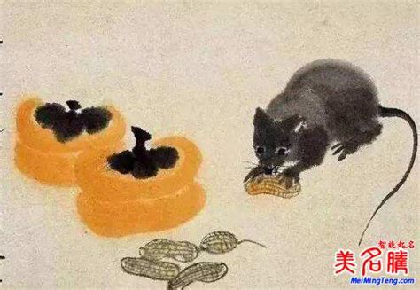 鼠年男孩名字库大全集免费