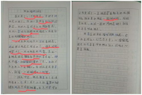 淘宝起名字类目怎么选择
