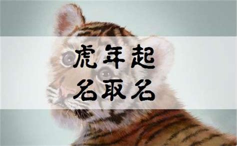 明年五六月份的虎宝宝怎么起名字