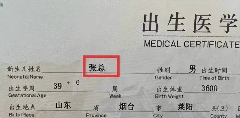 宝宝起名网免费取名字