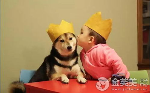带狗字的土名字
