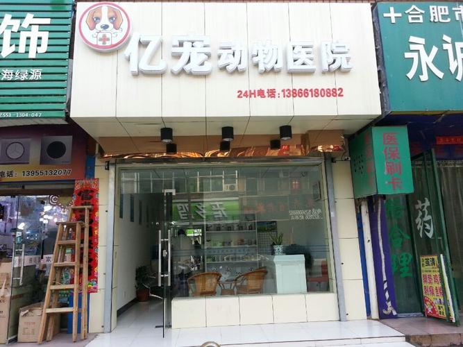 宠物公司起名大全