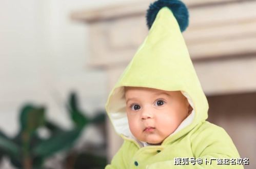小男孩起名字取名参考
