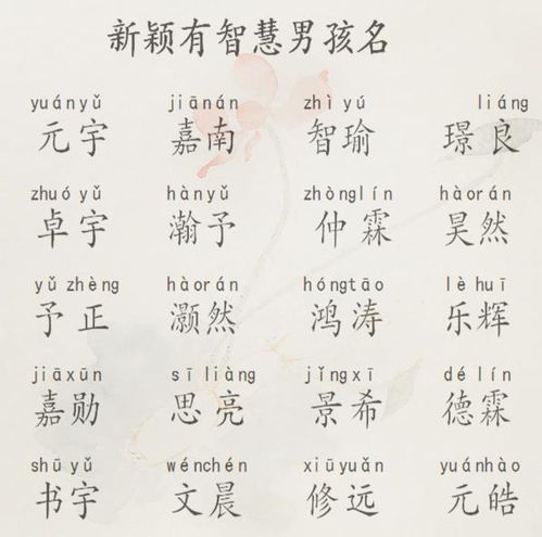 小狗起名字大全旺
