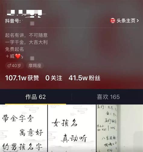 适合给猫起的名字