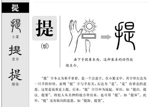 为什么名字不能乱起