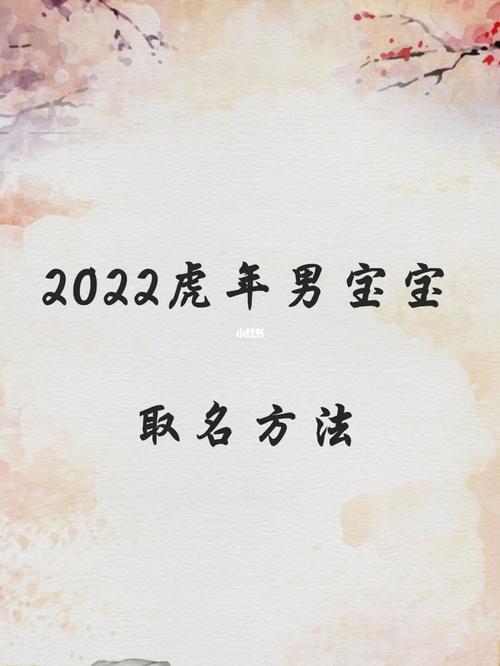 姓王属虎的男孩名字大全