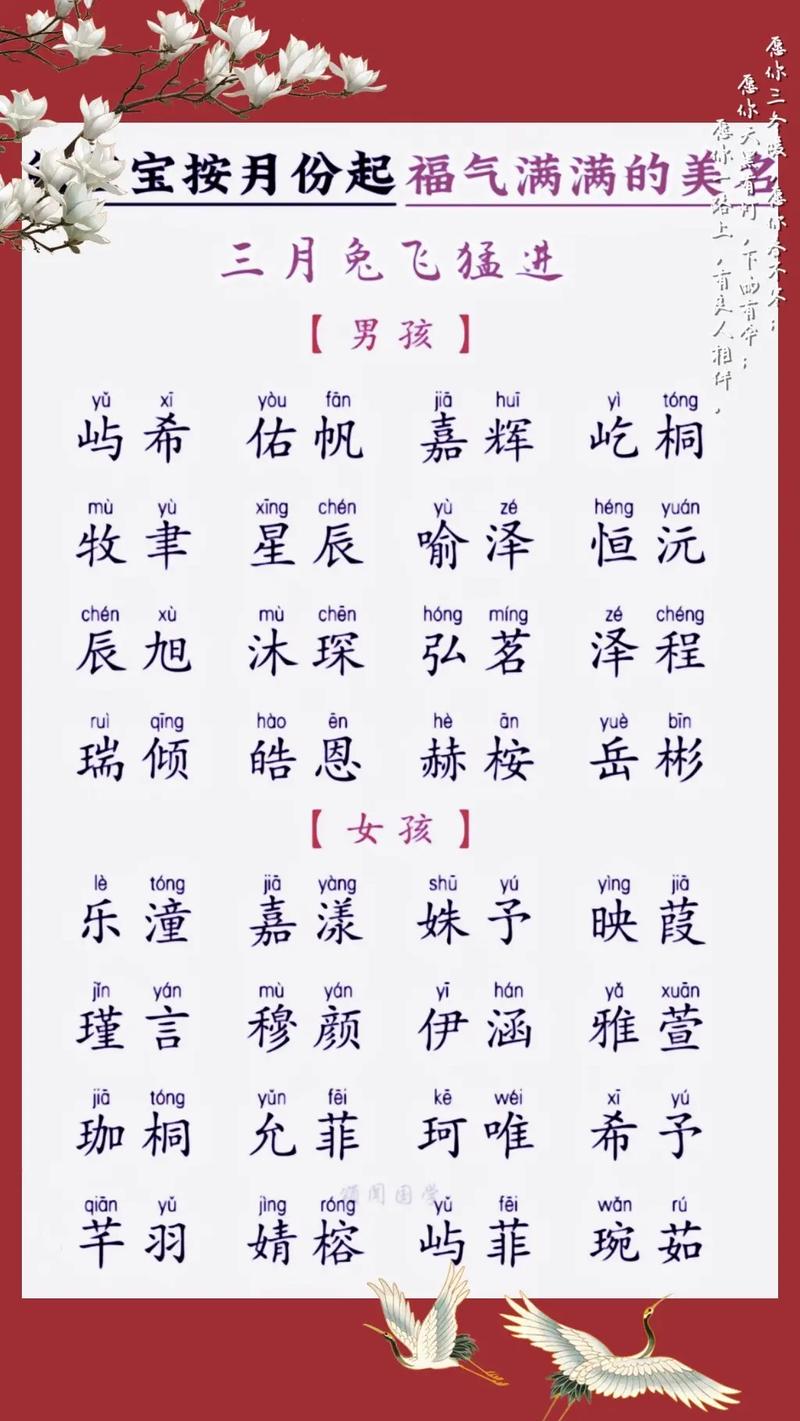 属猪的名字带坤好不好