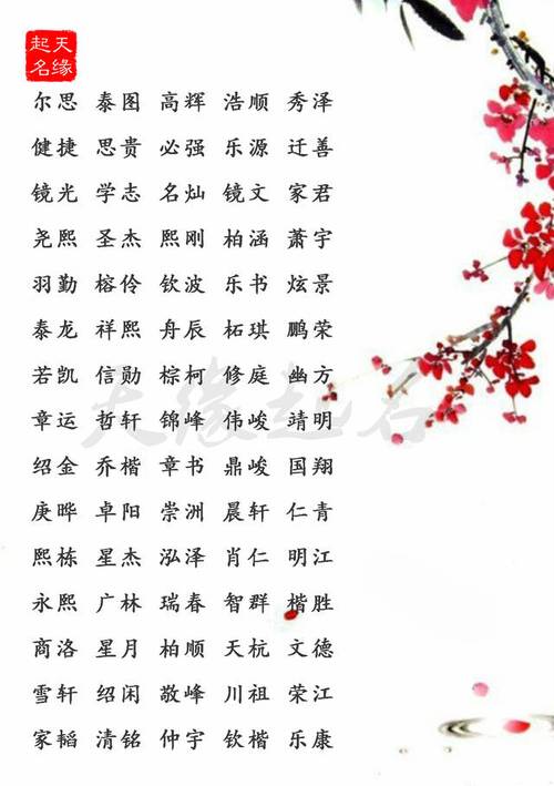 小孩起名字男孩姓王