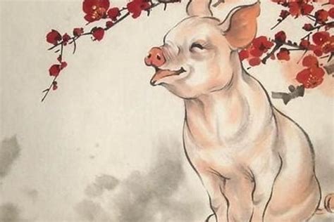 猪年宝宝起名