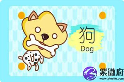 猪年男孩取名叫什么好