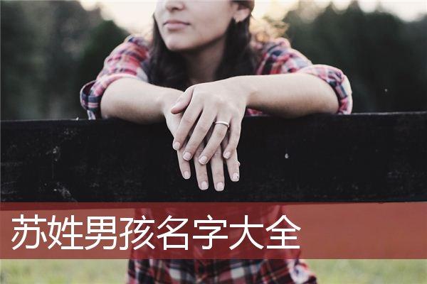 男孩名字苏语