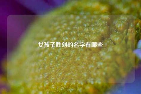 给姓刘的女孩起名字该怎样起