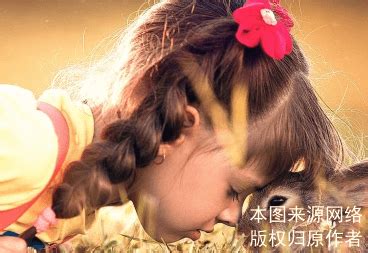 姓田的宝宝怎么取名