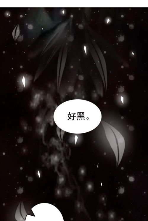 双宿双飞的爱情舞者星座男的浪漫旋律