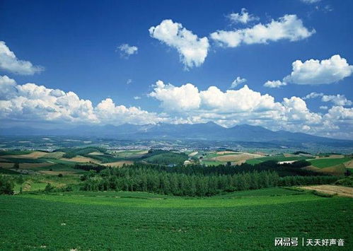 性格内敛是什么星座