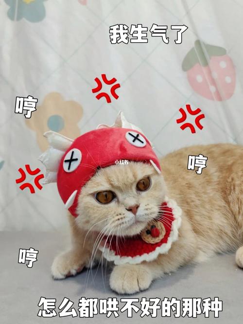 虎