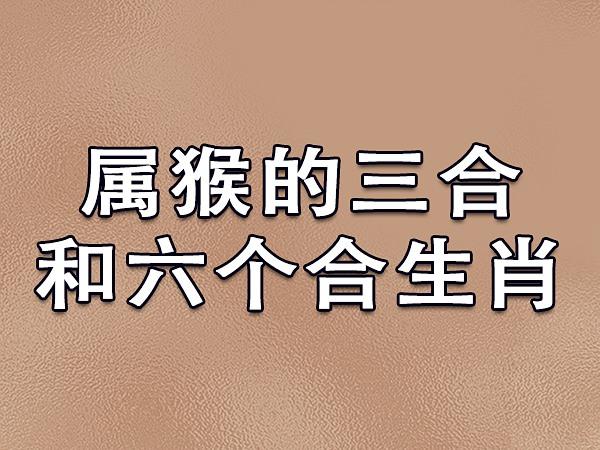 2023年日属兔、属龙、属蛇运势分析喜比忧多，克制浮躁，迎接美好时光