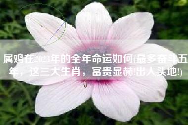 未来周贵人相助生肖运势解读