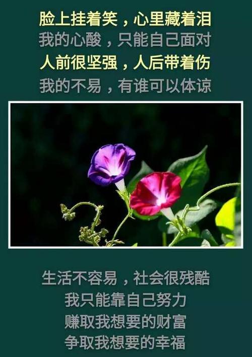 坚强到让人心疼的星座男