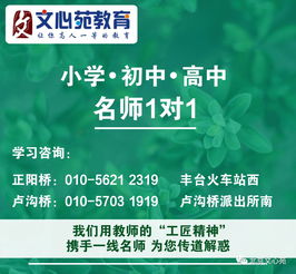 助优正人在青少年心理咨询领域的关键作用
