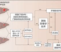 周易与八字命理探索肝病及肝癌的预测之道