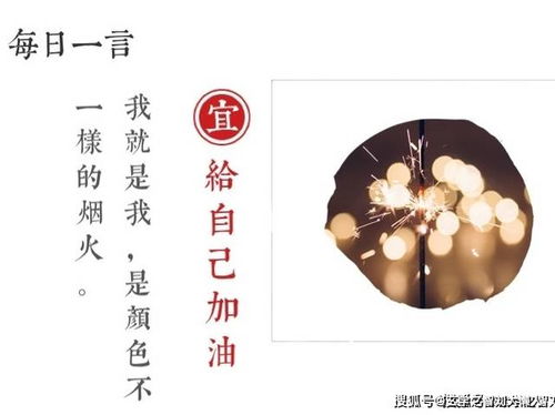 十二生肖每日好运播报揭秘你的生肖运势