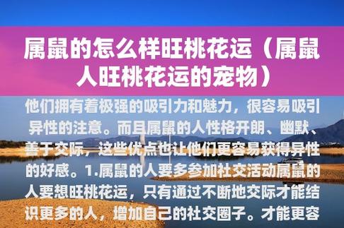 未来事业运最好的星座