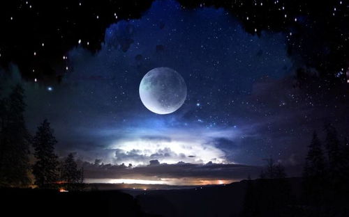 星辰下的誓言忠诚与专一的星座之光
