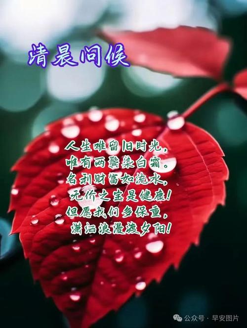 月锦鲤之歌