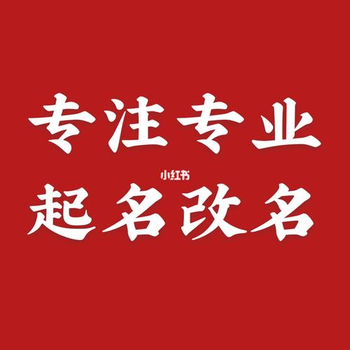 周易取名为龙宝宝改个有诗意的名字