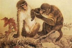 2023年属猴人的运势与起名文化吉祥如意，猴年大吉