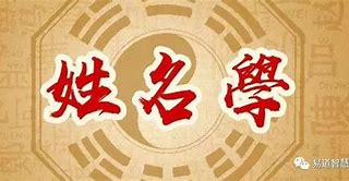 深入探索逐波起名的文化一次全面的教育体验