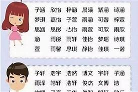 免费取名打分软件