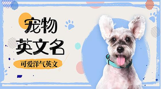炫舞情侣英文名字大全