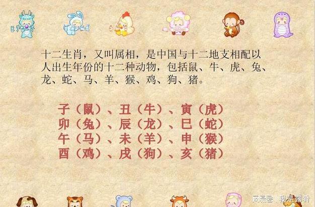 独行侠的生肖传奇
