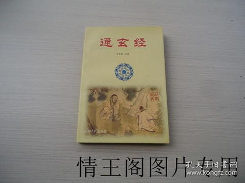 玄衍起名的文化课程评价