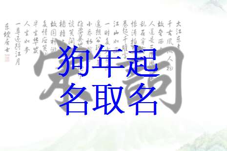 狗起名字大全