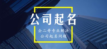 【茄语心声】——探寻名字背后的文化韵味