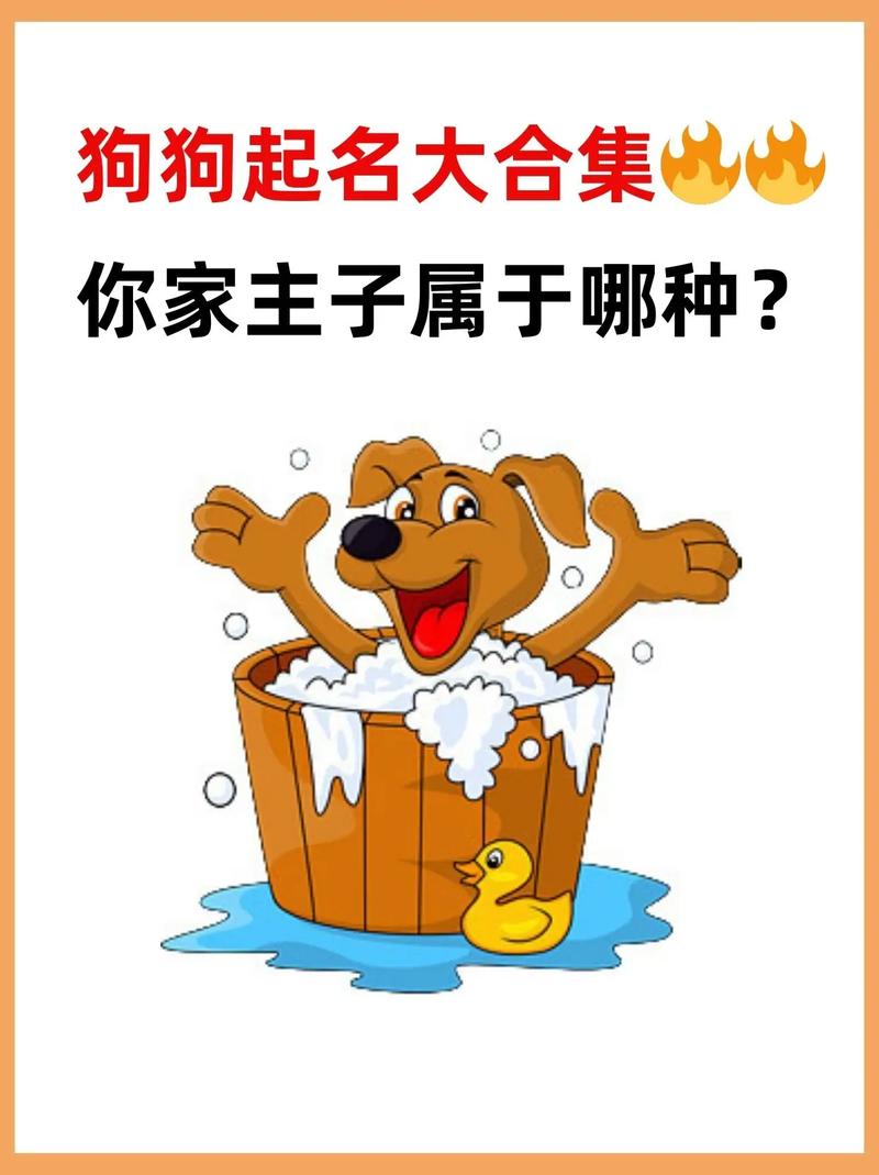 可爱的狗名字好听