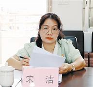 宋洁是什么意思