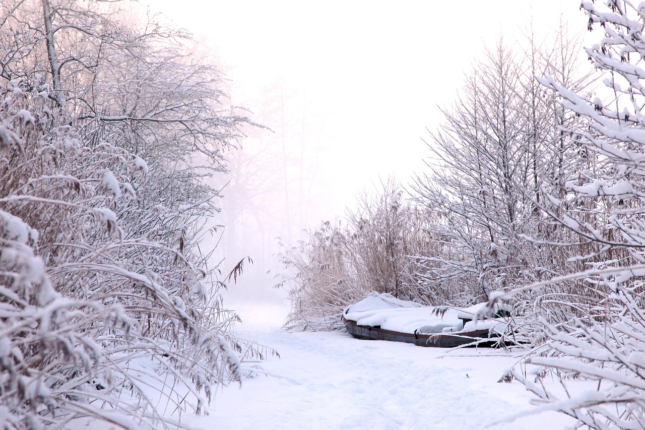 雪迷宫，角色背后的深不可测