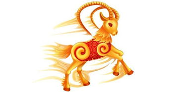 属羊的今年多大几几年出生